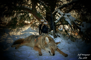 game calls contest